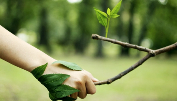 ‘Projeto do Licenciamento Ambiental pune agressores do meio-ambiente’