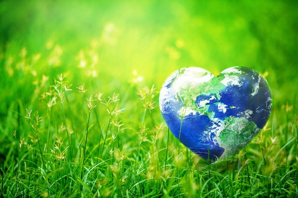 Dia da Terra: 10 palavras sobre sustentabilidade que você precisa saber
